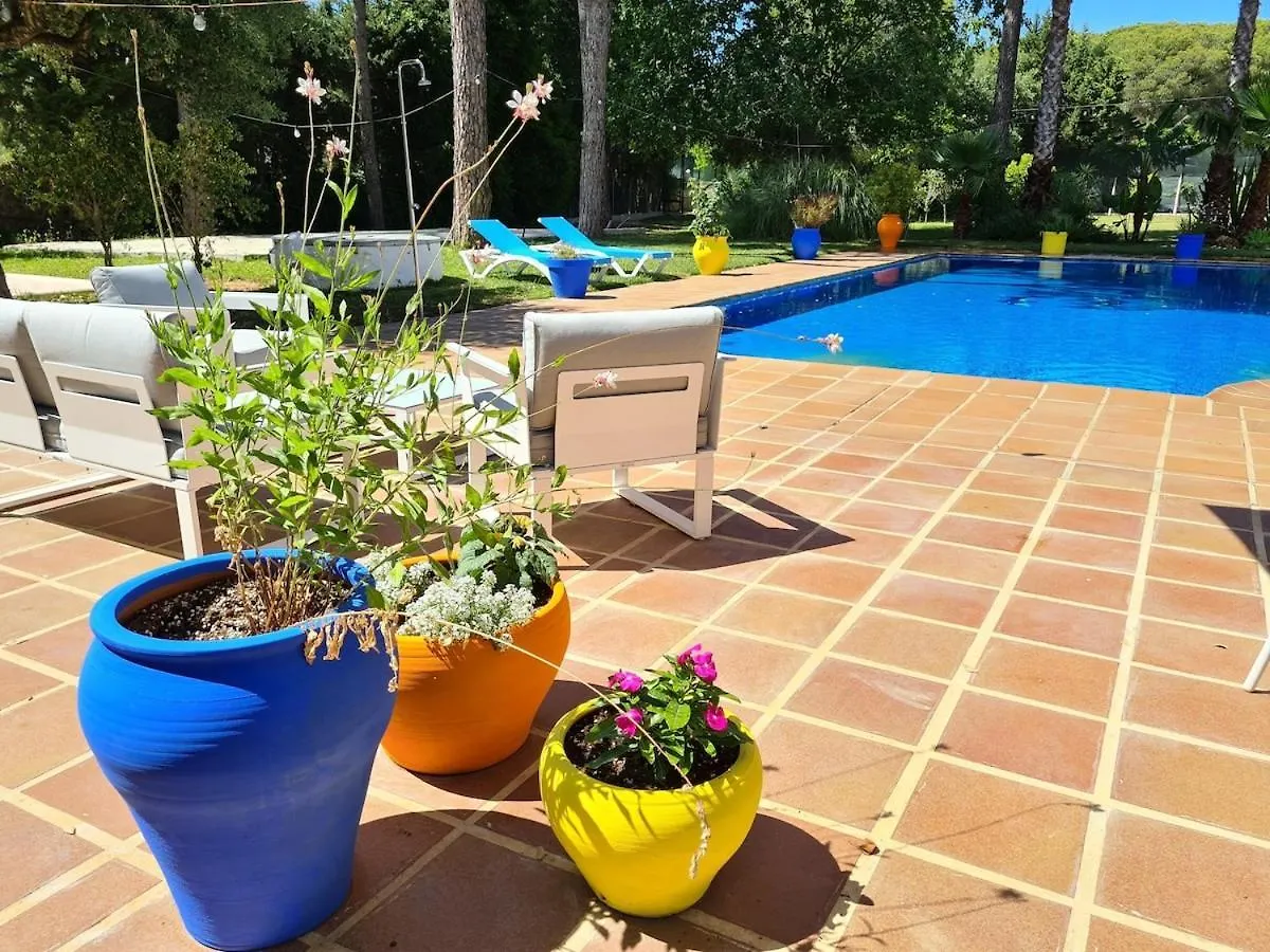 Villa Serena - Casa Rural En Arcos Con Piscina, Barbacoa, Chimenea Arcos de la Frontera 0*,